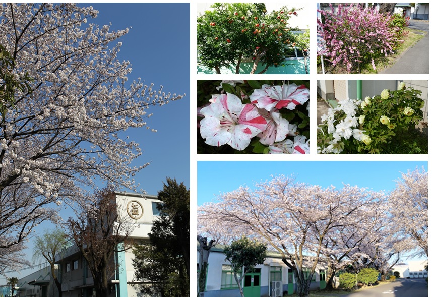 環境・社会貢献への取り組み | コネクタ・ハーネス加工・ダイカスト